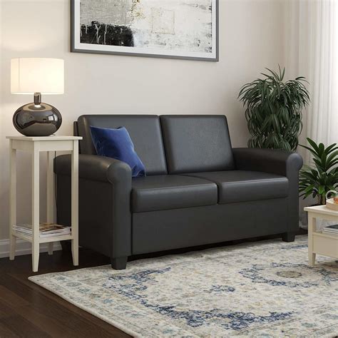 Comfortable Pull Out Couch